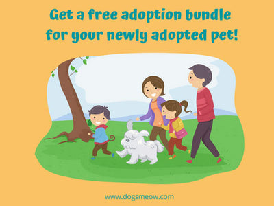 Adoption Bundle