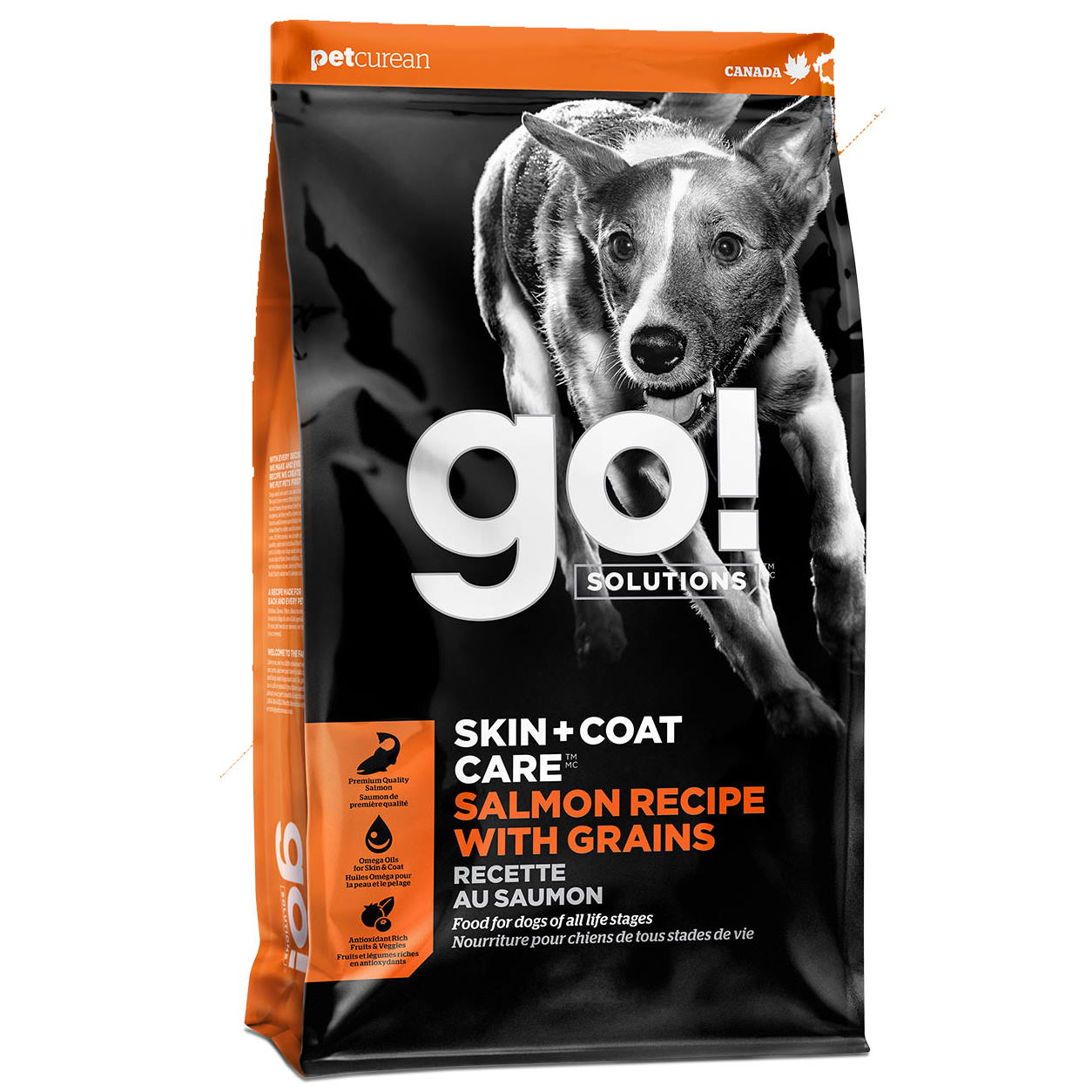 Go! Solutions Skin + Coat Care Salmon Recipe with Grains Dry Dog Food 25-lb Bag
