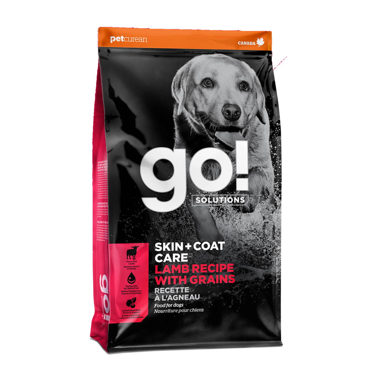 Go! Solutions Skin + Coat Care Lamb Recipe with Grains Dry Dog Food, 3.5-lb Bag